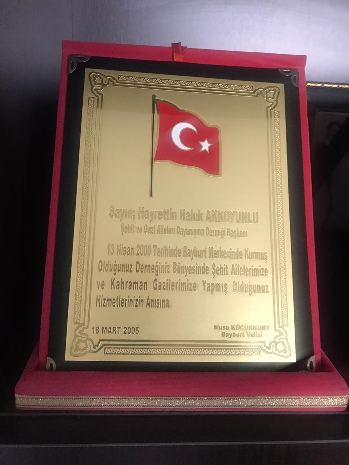 Hayrettin Haluk Akkoyunlu